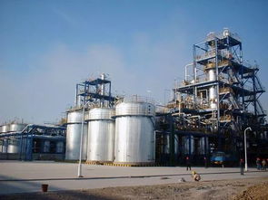 大慶高新區 打造200億產值油脂產業鏈，丙酮助力產業升級